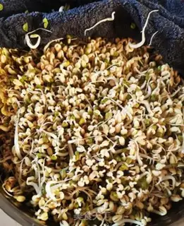 Make Green bean sprouts step 7