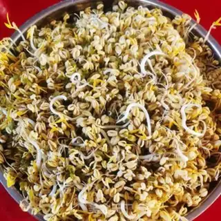 Make Green bean sprouts step 8