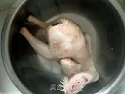 Make White pheasant step 2