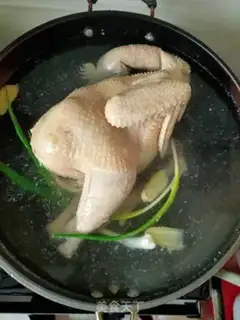 Make White pheasant step 3
