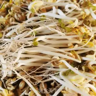 Make Green bean sprouts step 10