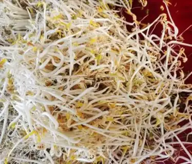Make Green bean sprouts step 13