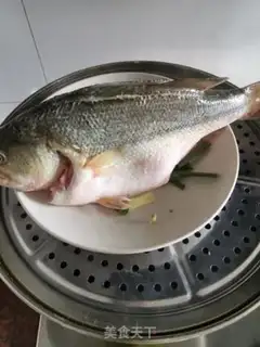 Make Vacuate herring step 2
