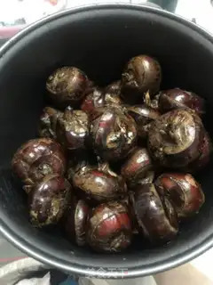 Make Pork horse hoof dumplings step 0
