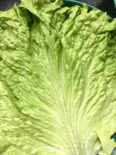 Make Puffed meat salad step 10