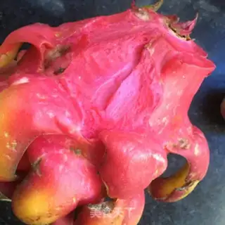 Make Flamingo yogurt step 1