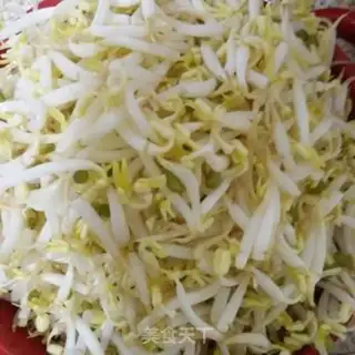 Make Stupid bean sprouts step 0