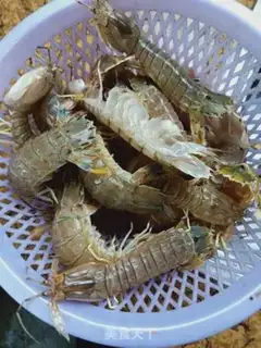 Make Skinned shrimp step 0