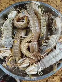 Make Skinned shrimp step 1