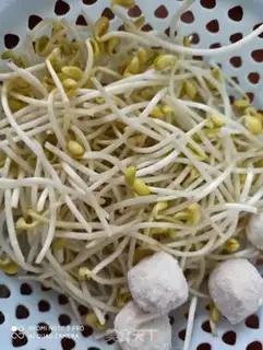 Make Seaweed bean sprouts, bean concubines soup step 0