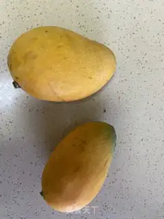 Make Mango pie step 1
