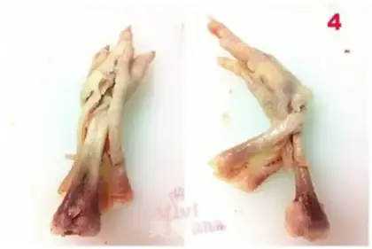 Make Homemade peppers to the bone claws step 3