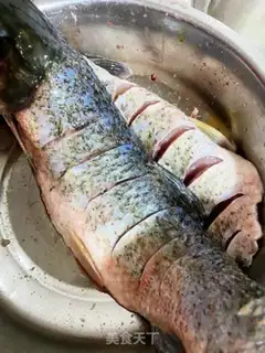 Make Steamfish step 0