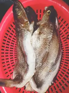 Make Fried Dragonfish step 0