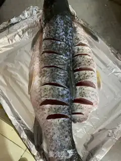 Make Steamfish step 2