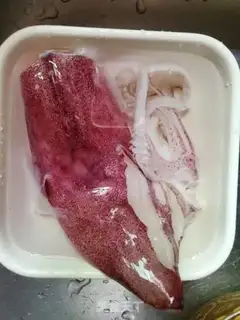 Make Steamfish step 0