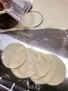 Make Pork dumplings step 7