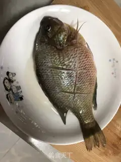 Make Red sunfish step 1