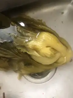 Make Sourfish step 2