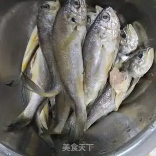 Make Squirt the yellowfish step 0
