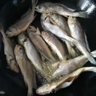 Make Squirt the yellowfish step 2