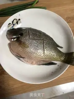 Make Scattered sunfish step 0