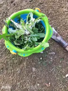 Make Puffed veggies step 0