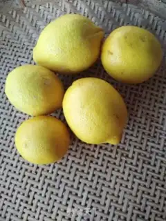 Make Ice cream and lemonade step 0