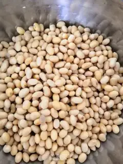Make Beans fan step 0