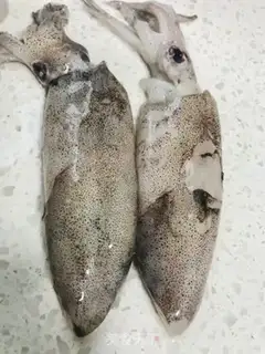 Make Bombing fish step 0