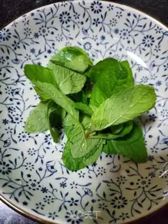 Make Mint tea step 1