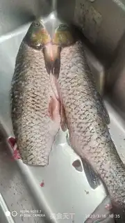Make Strawfishballs step 0