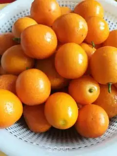 Make Sugar orange step 0