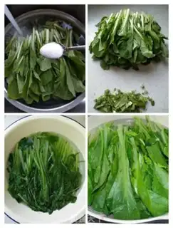 Make Pelican cabbage step 1