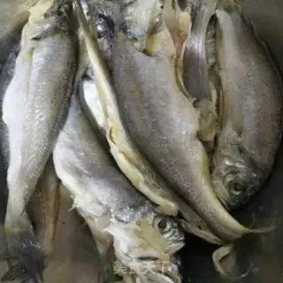 Make Little yellowfish step 0