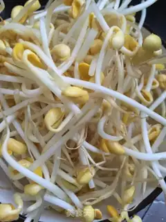 Make Potato bean sprouts and liver soup step 0