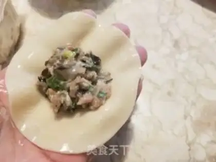 Make Pork dumplings step 7