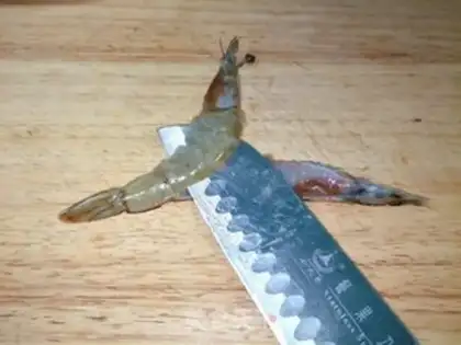 Make A garlic fan with a shrimp back step 7
