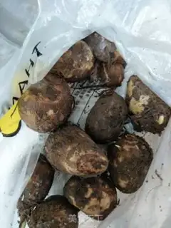 Make Potatobone soup step 0