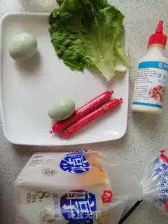 Make Homemade sandwiches step 0