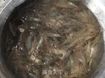 Make Shrimp in the cranium step 0