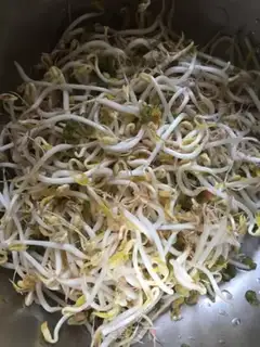 Make Bean sprouts step 0
