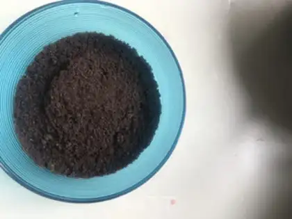 Make Mango Moose step 1