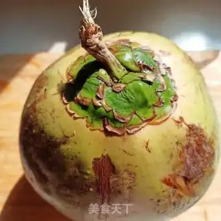 Make Coconut step 1