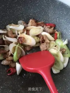 Make Spring onions step 8