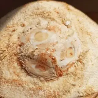 Make Coconut step 5