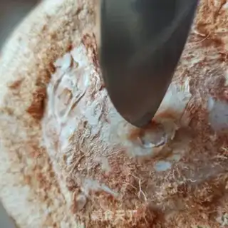 Make Coconut step 6