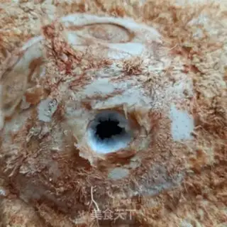 Make Coconut step 7