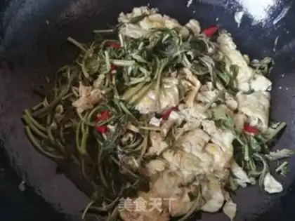 Make Fried eggs step 11