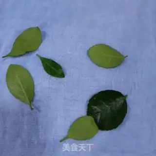 Make Olio